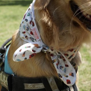 犬服 犬用品 ペット用品 イタグレ 服 大型犬 服 のお店 Cockerpapa コカパパ 犬服 大型犬服 犬グッズ 卸