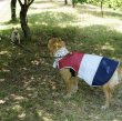 画像11: 大型 犬 服 3XL 中型犬 大型犬 夏 クール ベスト メッシュ 保冷剤 熱中症対策 doggystar ドッギースター 即日 出荷できます (11)