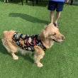 画像14: 犬服 タンクトップ かっこいい コミック柄 Tシャツ  S M L XL 2XL 3XL 4XL 5XL 6XL 小型犬 中型犬 大型犬 春夏秋冬 doggystar ドッギースター  即日発送できます (14)