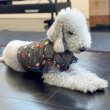 画像35: イタグレ服 S M L XL 2XL 3XL シースルー 花柄 刺繍 チュール フリル ブラウス 小型犬 中型犬 大型犬 春夏 doggystar ドッギースター 即日発送出来ます。 (35)