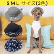 画像1: イタグレ帽子 S M L 小型犬 中型犬 春夏秋冬 バケットハット（服は含まれません）doggystar ドッギースター即日発送致します (1)