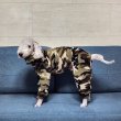 画像47: イタグレ服 S M L XL 2XL 3XL 小型犬 中型犬 大型犬 秋冬 doggystar ネイティブ柄 迷彩柄 フリース ロンパース 即日発送出来ます (47)