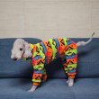 画像13: イタグレ服 S M L XL 2XL 3XL 小型犬 中型犬 大型犬 秋冬 doggystar ネイティブ柄 迷彩柄 フリース ロンパース 即日発送出来ます (13)