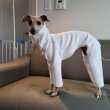 画像19: イタグレ服  S M L XL 2XL 3XL 起毛ロンパース つなぎ 小型犬 中型犬 大型犬 秋 冬服 doggystar ドッギースター 即日発送出来ます (19)