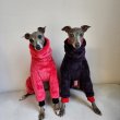 画像27: イタグレ服 S M L XL 2XL 3XL 小型犬 中型犬 大型犬 秋 冬 無地 ミンク ボア フリース ロンパース つなぎ ウィペット服 ベドリントンテリア服 doggystar ドッギースター 即日発送出来ます (27)