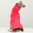 画像23: イタグレ服 S M L XL 2XL 3XL 小型犬 中型犬 大型犬 秋 冬 無地 ミンク ボア フリース ロンパース つなぎ ウィペット服 ベドリントンテリア服 doggystar ドッギースター 即日発送出来ます (23)