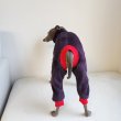 画像26: イタグレ服 S M L XL 2XL 3XL 小型犬 中型犬 大型犬 秋 冬 無地 ミンク ボア フリース ロンパース つなぎ ウィペット服 ベドリントンテリア服 doggystar ドッギースター 即日発送出来ます (26)