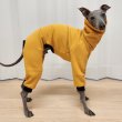 画像14: イタグレ  S M L XL 2XL 3XL ボーダー 裏起毛 無地  ロンパース つなぎ 小型犬 中型犬 大型犬 春 秋 冬服 doggystar ドッギースター 企画商品 特別 価格  即日発送できます。 (14)