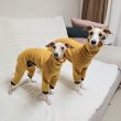 画像6: イタグレ  S M L XL 2XL 3XL ボーダー 裏起毛 無地  ロンパース つなぎ 小型犬 中型犬 大型犬 春 秋 冬服 doggystar ドッギースター 企画商品 特別 価格  即日発送できます。 (6)