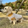 画像12: ダックスフンド 服 Tシャツ ポケットボア 小型犬 中型犬 S M L XL 冬 ダックス おしゃれ 犬 洋服 doggystar ドッギースター 即日発送出来ます。 (12)