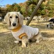 画像9: ダックスフンド 服 Tシャツ ポケットボア 小型犬 中型犬 S M L XL 冬 ダックス おしゃれ 犬 洋服 doggystar ドッギースター 即日発送出来ます。 (9)