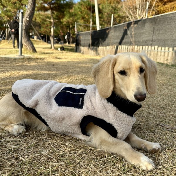 画像1: ダックスフンド 服 Tシャツ ポケットボア 小型犬 中型犬 S M L XL 冬 ダックス おしゃれ 犬 洋服 doggystar ドッギースター 即日発送出来ます。 (1)