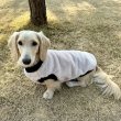 画像20: ダックスフンド 服 Tシャツ ポケットボア 小型犬 中型犬 S M L XL 冬 ダックス おしゃれ 犬 洋服 doggystar ドッギースター 即日発送出来ます。 (20)