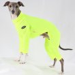 画像15: イタグレ服 S M L XL 2XL 3XL 接触冷感 蛍光クール ロンパース つなぎ 小型犬 中型犬 大型犬 春夏 doggystar ドッギースター 即日発送出来ます (15)
