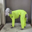 画像17: イタグレ服 S M L XL 2XL 3XL 接触冷感 蛍光クール ロンパース つなぎ 小型犬 中型犬 大型犬 春夏 doggystar ドッギースター 即日発送出来ます (17)