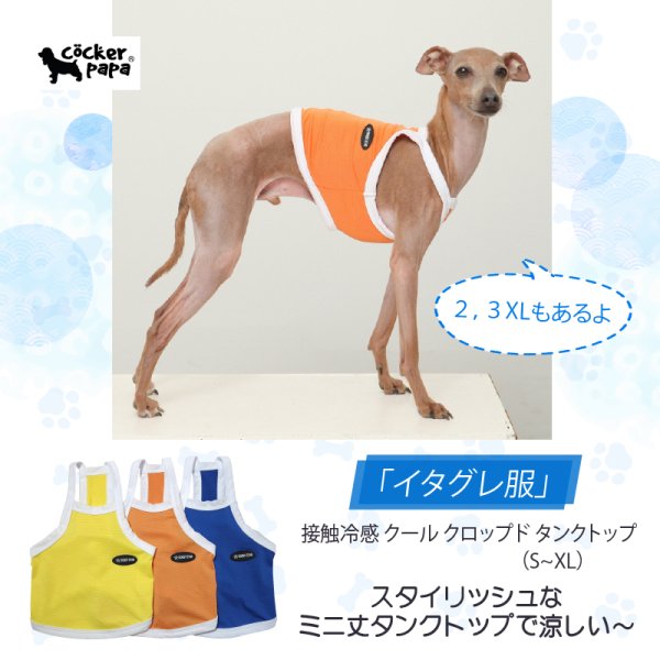 画像1: イタグレ服 S M L XL 2XL 3XL 接触冷感 クール ひんやり クロップド タンクトップ スポーツ 小型犬 中型犬 大型犬 夏 doggystar ドッギースター 即日発送出来ます (1)