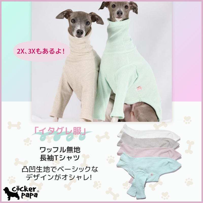 cocker papa(コカパパ)doggy star(ドッギースター)イタグレ服を中心と