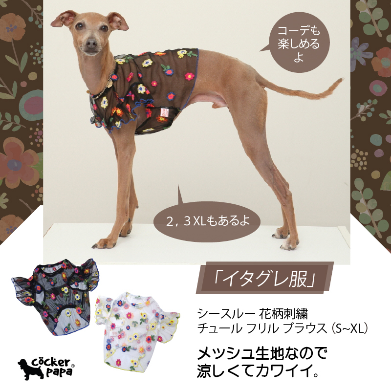 cocker papa(コカパパ)doggy star(ドッギースター)イタグレ服を中心としたかわいい犬服専門ショップ