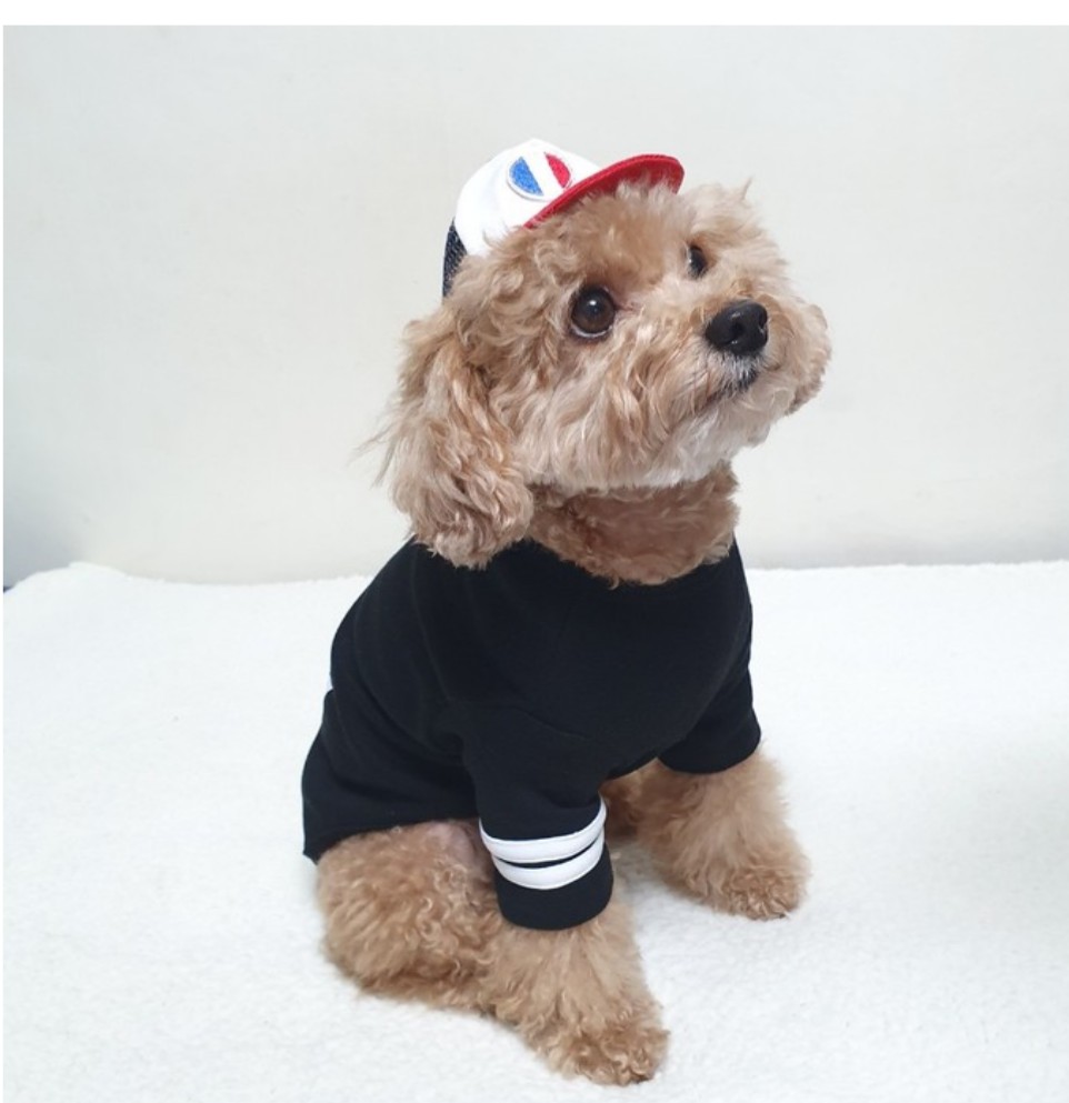 犬服 マリン 長袖 Tシャツ 小型犬 中型犬 韓国 春 夏 doggystar